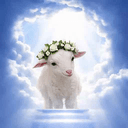 Lamb