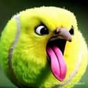 TennisBird