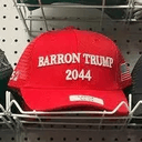 Barron2044