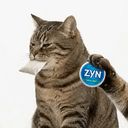 ZynCat