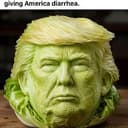 Lettucenald