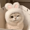 cute