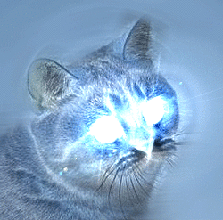 HCAT