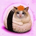 $SUSHICAT