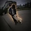 汤圆