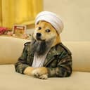 BINDOG