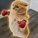 Meow Tyson