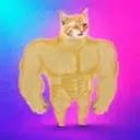 GIGACAT