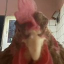 CHICKEN