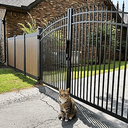 GATE