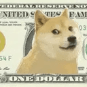 DOGE