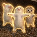 Gatitos