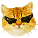 DxCat