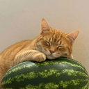 MELON