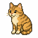 CashCat