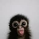 Abu