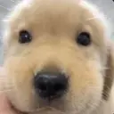 富贵
