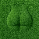 GRASS