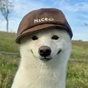 nice