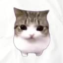 Meowpin