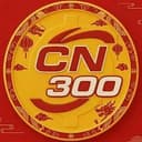 CN300