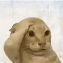 COPECAT⁠