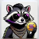 raccoon
