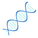 ¢