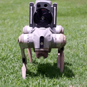 Oppy