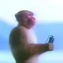 VibeShift