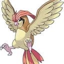PIDGEOTTO⁠