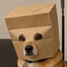 ZDOG