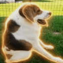 Cooper