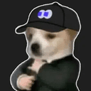 fomocatdev