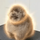Chiro
