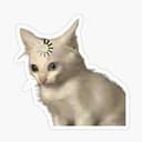 LOADCAT