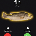 FIHCALL