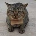 DEBTCAT