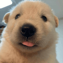 BOB
