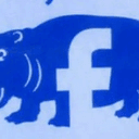 HIPPO