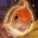 FIH