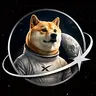 SPCXDOGE