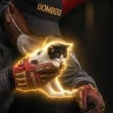 Kitten