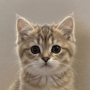 NEKO
