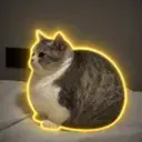 CATBALL