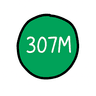 307M