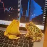 QUANTS
