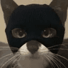 catwifmask
