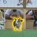 RUN