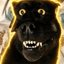 CatDog